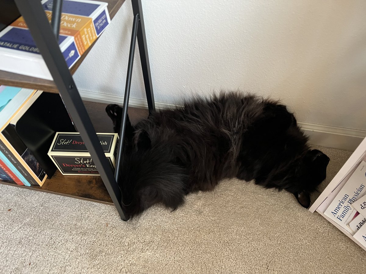 MatthewRehrl's tweet image. My cat can sleep just about anywhere.  🥰