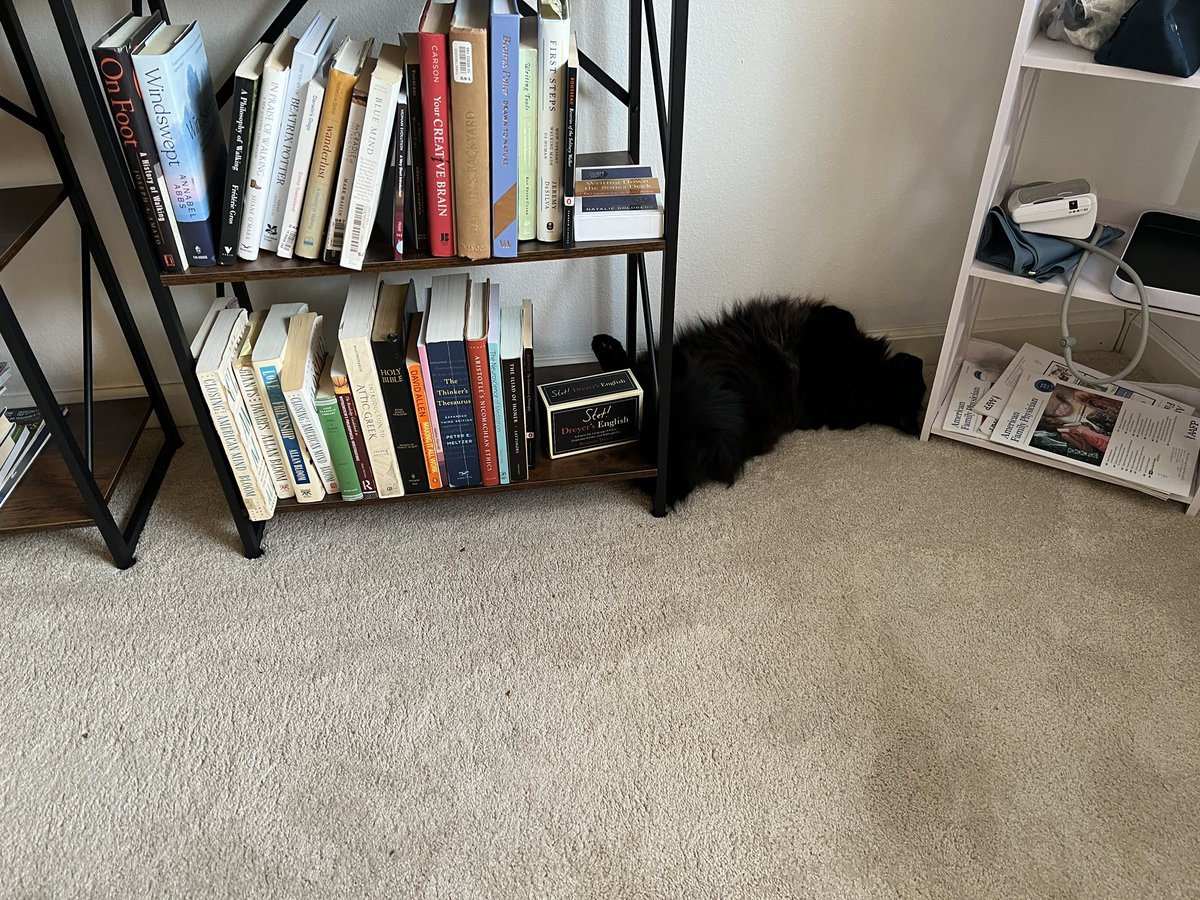 MatthewRehrl's tweet image. My cat can sleep just about anywhere.  🥰