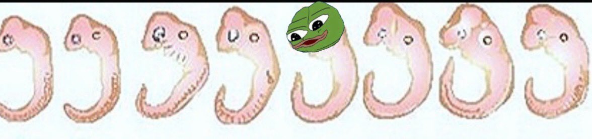 These are the embryos of a human, cat, rabbit, chick, cat, salamander, fish and $Apu. Can you tell which is which? Prob not.