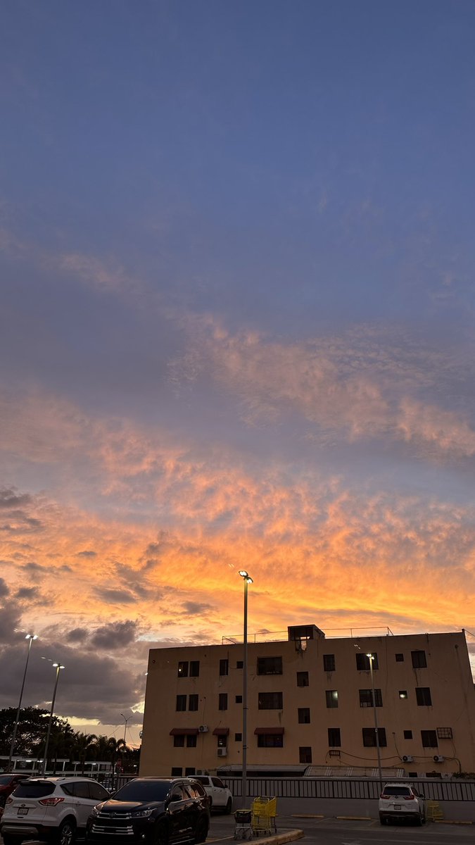 SoloSoyLizz 🇩🇴 tweet media