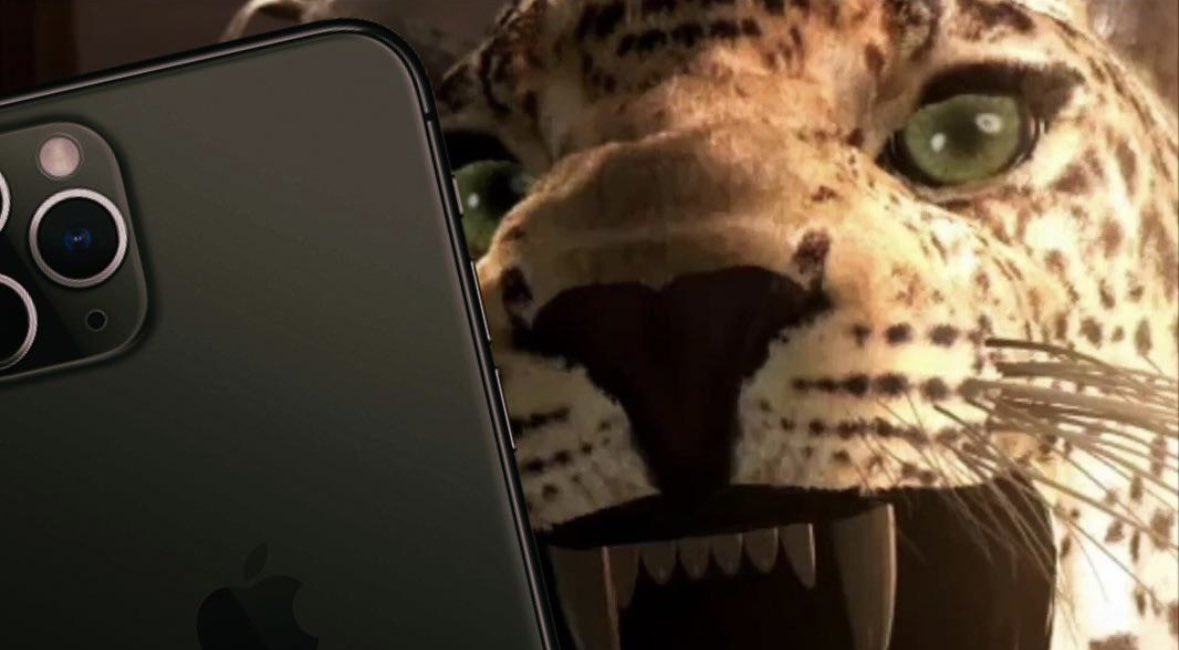 I HAVE GREAT NEWS BUT I WON'T SPOIL JUST YET I SWEAR 🗣🗣🗣