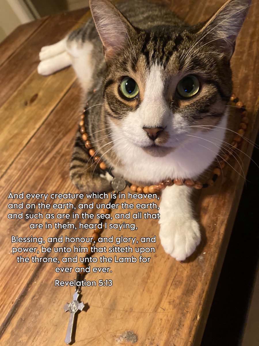 Cool cats pray the rosary.