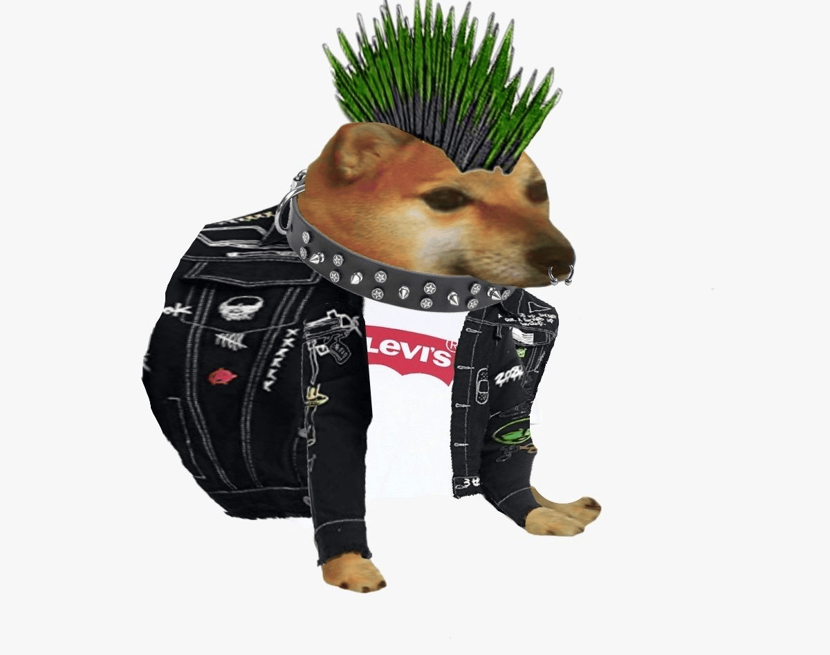 <a href="/SolportTom/">Tom</a> <a href="/bonk_fun/">BONK.fun</a> strenghtm of cheems is mmagic too