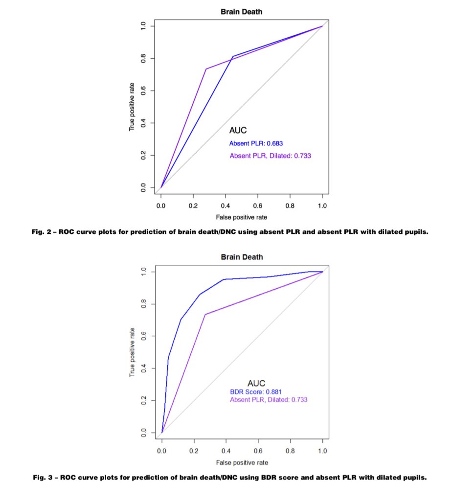 Mica Schachter, MD tweet media