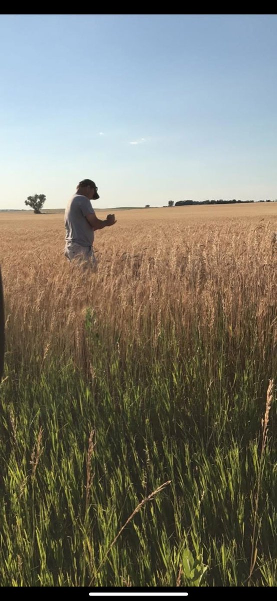 LisaMillar7's tweet photo. 8 years ago today we went for a drive and he hopped out to check the yields.  Everyday stuff, but really a wonderful memory now.  I remember laughing at his goofy jokes. 
So glad I took this picture of him to capture that memory. https://t.co/AISs1XAG2l