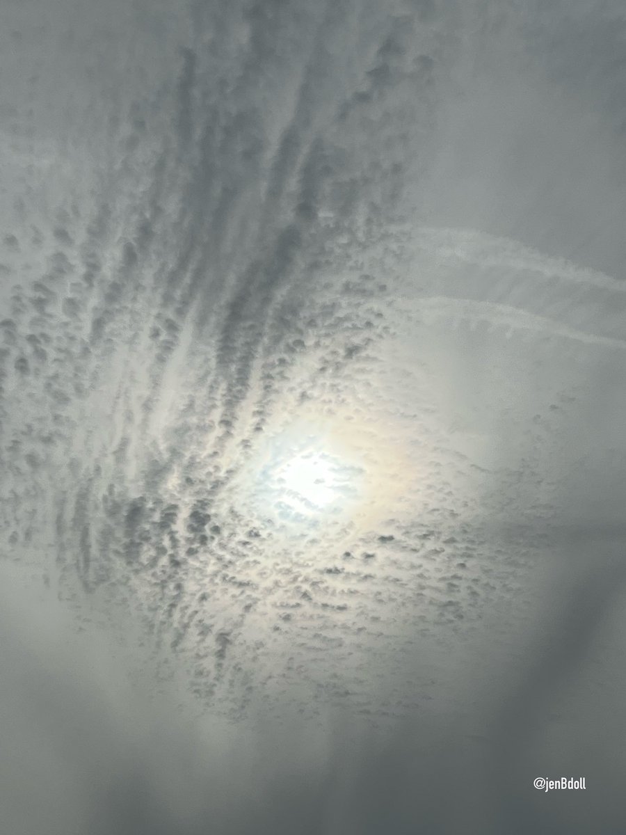 JenBDoll's tweet image. Sure does seem as though our skies are being ‘primed’
Day 2 of seemingly modified weather.
Covered sun this mOrn
Then the wall came in with big loud ‘clouds’…no rain just thunder
& now it’s just still ‘on’ since yesterday
📍Volusia County