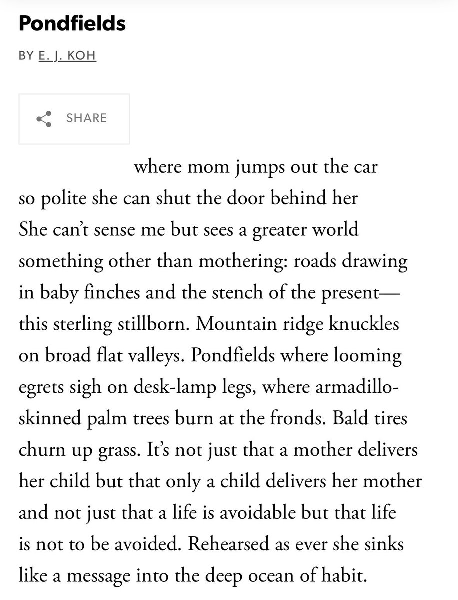 maureenthorson's tweet image. “Where looming egrets sigh on desk-lamp legs.” A poem by E.J. Koh.