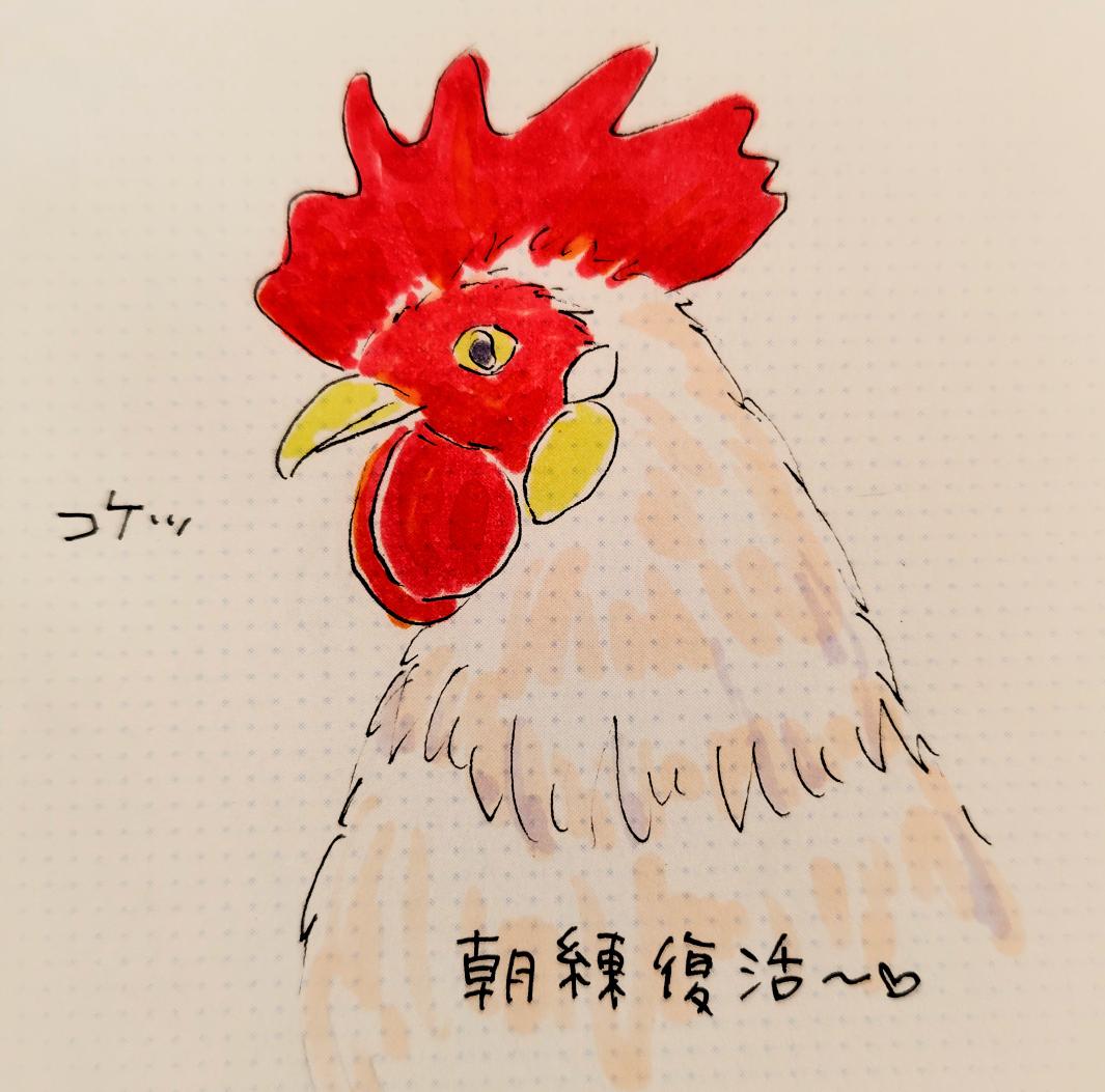 marujiroart's tweet image. 朝練やったら、１日調子がいいんだよね〜👍️

#にわとり
#朝練　#朝活
#アシュタンガヨガ
#ゆるいイラスト #みんなで楽しむTwitter展覧会 #芸術同盟  #つぶやき  #落書き #ドゥードゥル #doodle