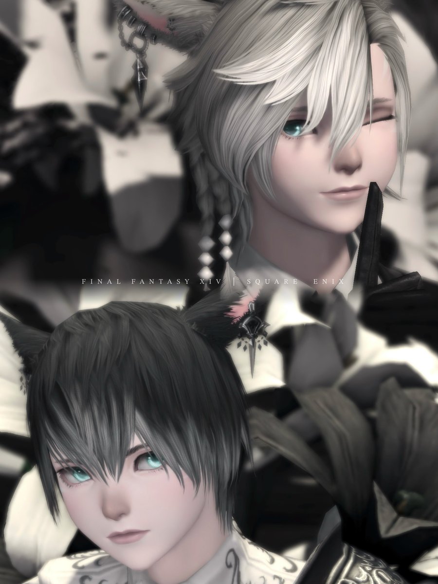 あるぅ🌱 tweet media