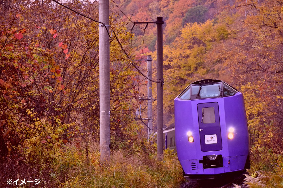 jalpakcojp's tweet image. /
#JALふるさとアンバサダー
と特別貸切列車
「HOKKAIDO LOVE! ひとめぐり号」で
巡る秋の北海道 周遊5・6日間
\
普段特急列車が停まらない駅にも、
停車🚆
さらに!降車後も充実の観光付き✨
列車を降りたあとも #北海道 ならではの
見どころを満喫できます🍁
🔽
jal.co.jp/jp/ja/domtour/…