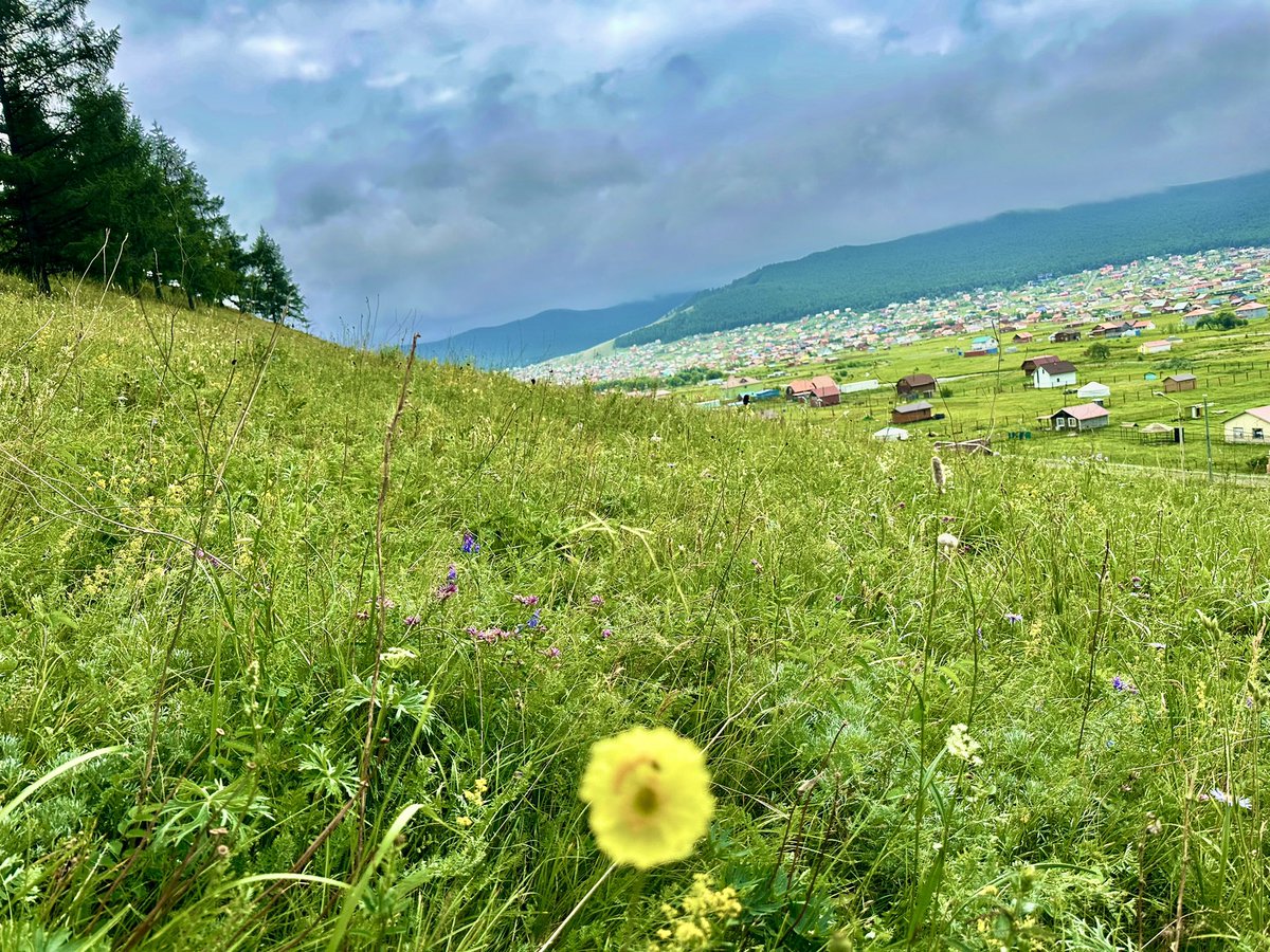 Өглөөний мэнд^^☀️