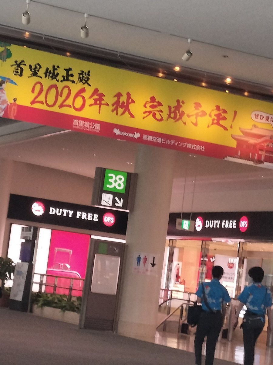 skyflyhappy's tweet photo. さて、羽田へ帰ります。
昨夜は初めてレンタカーなのに、代行で帰ってきました😅 https://t.co/kwSHCNEHvG