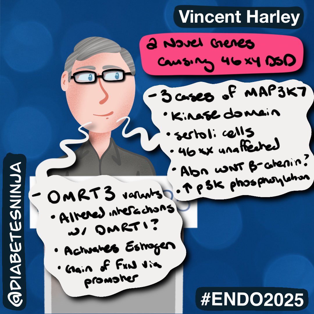 Stephen Stone, MD (@diabetesninja) on Twitter photo 🚨 Genetic breakthroughs in 46,XY DSD at #ENDO2025!
Vincent Harley shared:
🧬 3 cases of MAP3K7 variants affecting Sertoli cells
🧠 DMRT3 variants may alter estrogen signaling & transcription
Fascinating mechanistic insights into testis development.
<a href="/TheEndoSociety/">Endocrine Society</a> 🚨 Genetic breakthroughs in 46,XY DSD at #ENDO2025!
Vincent Harley shared:
🧬 3 cases of MAP3K7 variants affecting Sertoli cells
🧠 DMRT3 variants may alter estrogen signaling & transcription
Fascinating mechanistic insights into testis development.
<a href="/TheEndoSociety/">Endocrine Society</a>