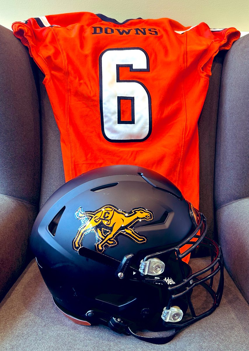 Camels, let’s roll!