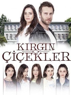 BusranurArass's tweet photo. @loverofciko753 @Sahipsizlerdizi “o şarkı”                                                   “o dizi” https://t.co/wVMCaEAozp
