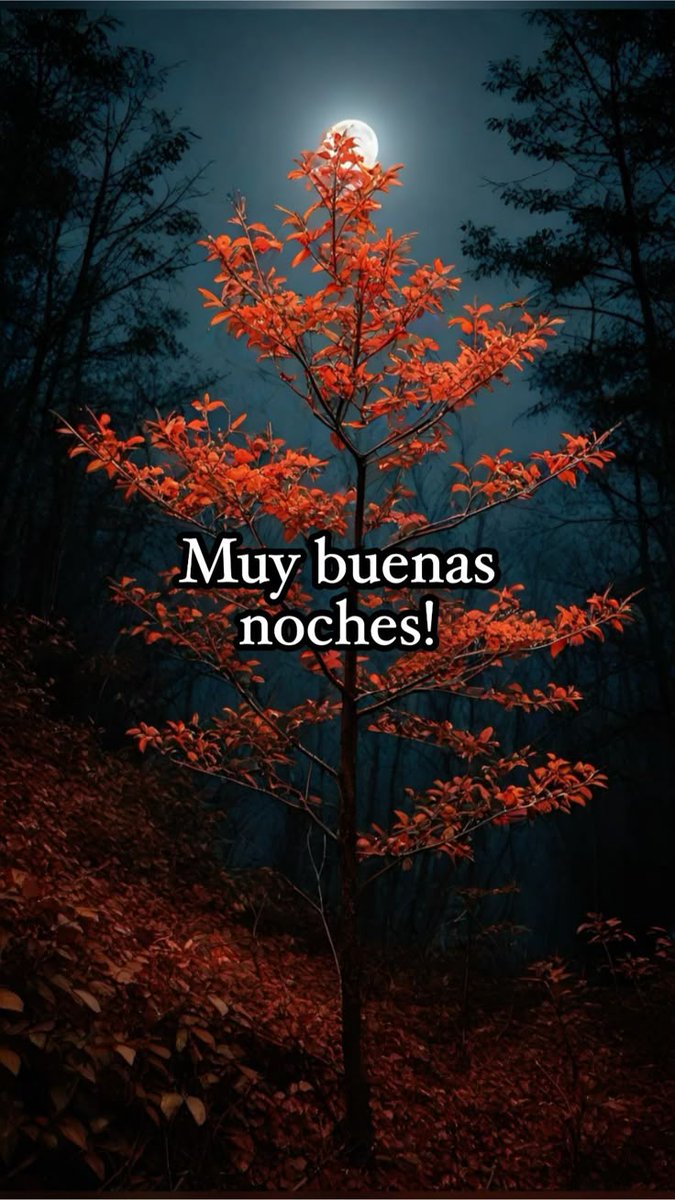 antonia58h's tweet image. Me despido por hoy ..mañana más y mejor..feliz descanso aunque haya vuelto el calor !!! 💫💫