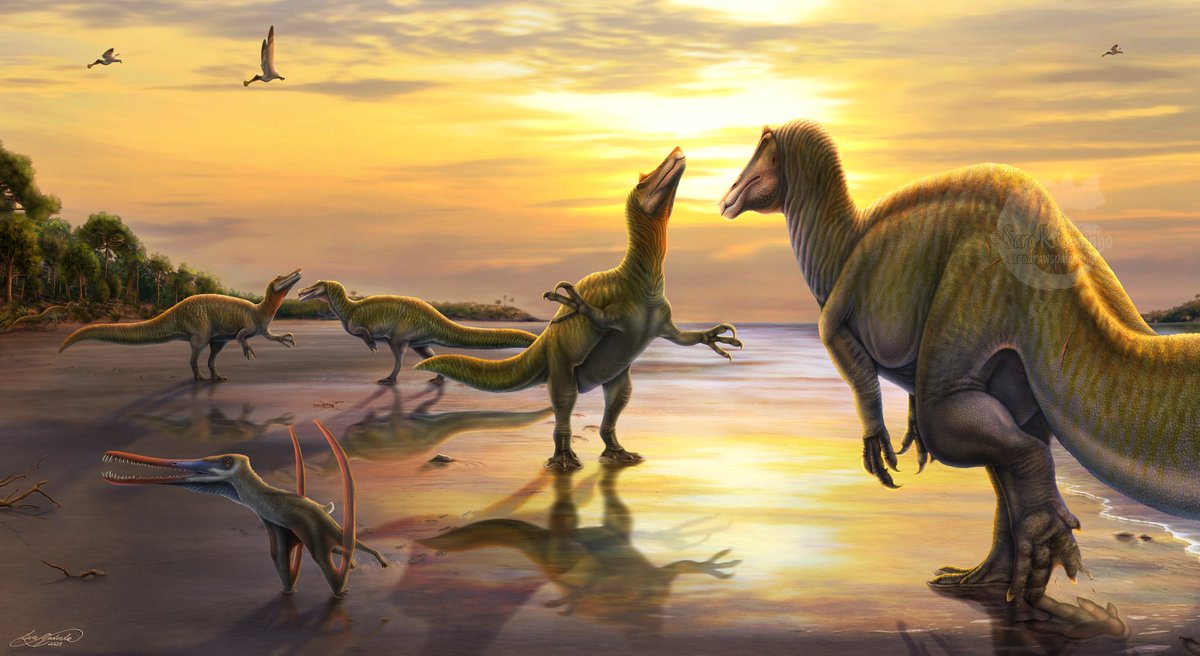 saradrawspaleo's tweet image. Cortejo de Irritator challengeri
Arte feita para o concurso do @PaleoBlogBR 🇧🇷
#irritatorbelongstoBR