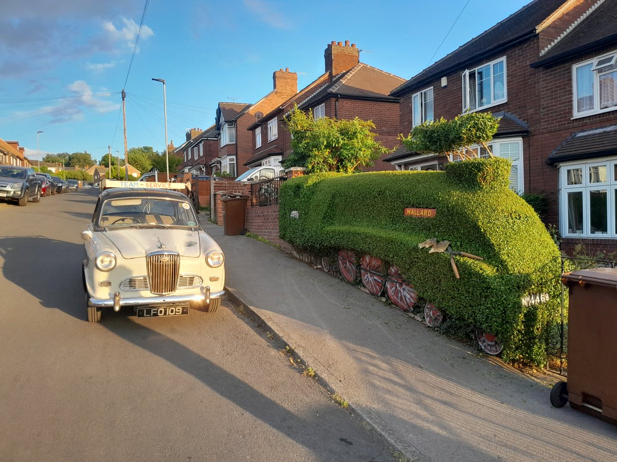 #mallard thought it was bigger