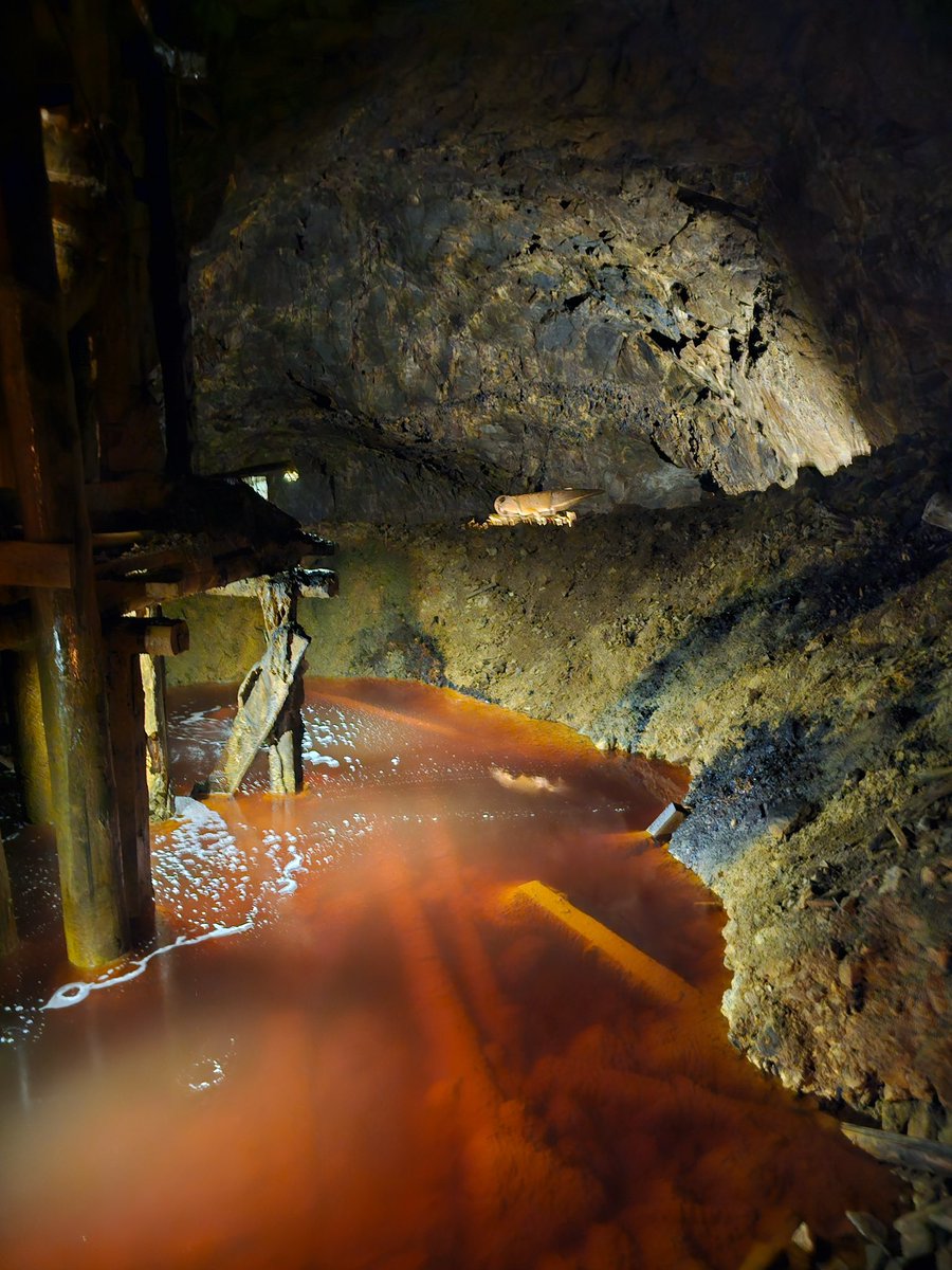 EvelinaHahne's tweet image. I visited Sweden’s largest mine on the 17th century, Falu gruva, and learned more about ”white privilege”:
Two 15yo boys worked 12 hours a day, six days a week, carrying 100 kg rocks in 40°C heat and near-total darkness.
Their payment? Just enough to eat.