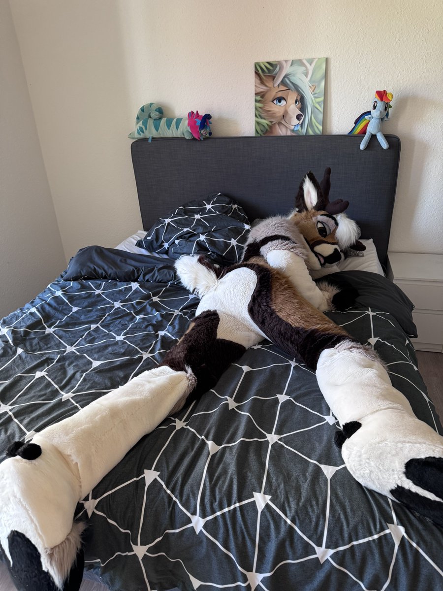 Come take a nap with a fluffy 🦌 
📸<a href="/Blauwyld/">Wax Blauwyld</a> 
#MFYMonday