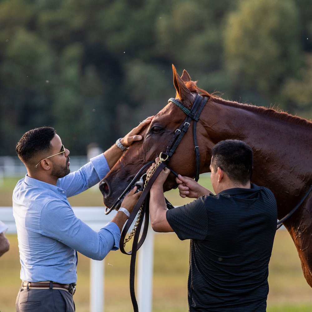 KYDownsRacing's tweet image. There's something special about winning moments at Kentucky Downs 🏆
#KyDowns