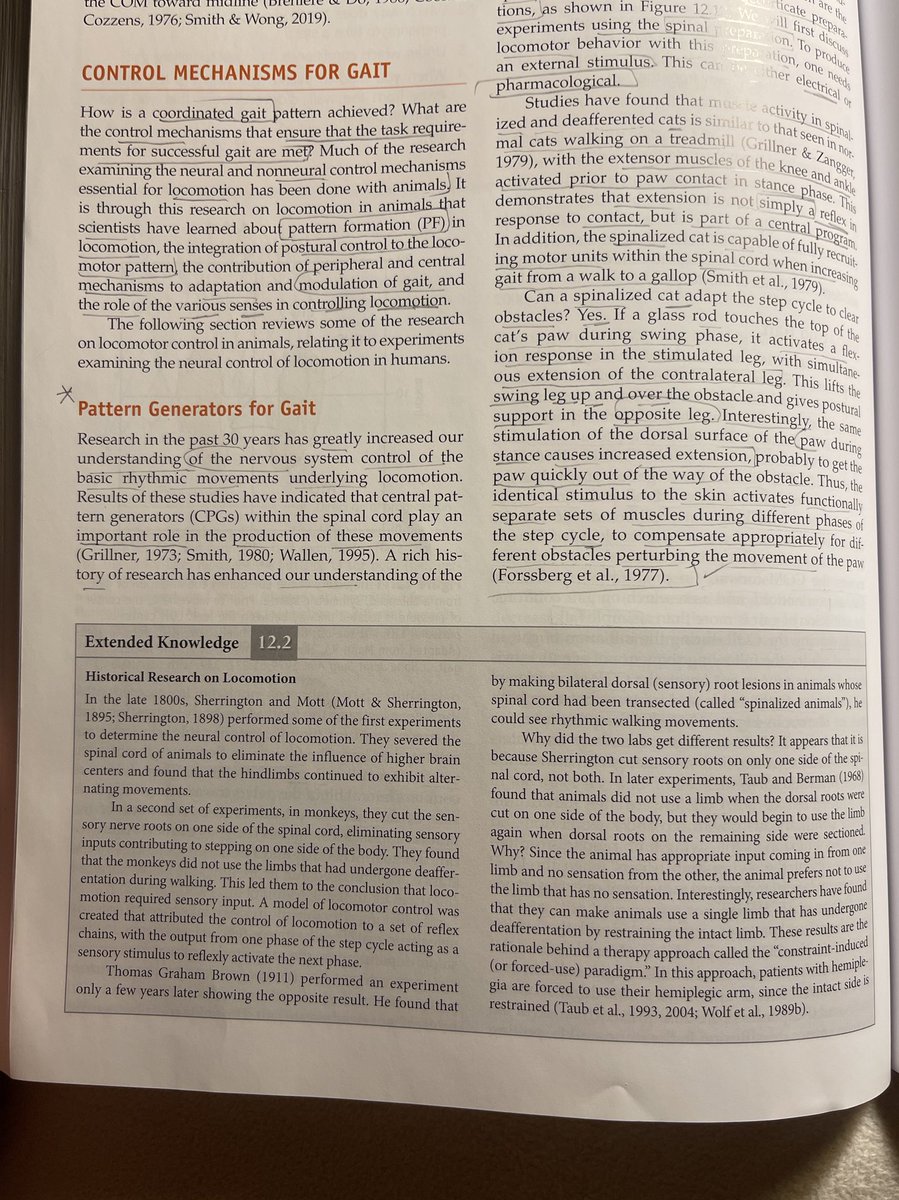 وش فايدة الـ  (Central Pattern Generators) في التأهيل؟

- تقدر تقول إن الـ CPGs  "موتور تلقائي" داخل الحبل الشوكي، ينظم حركة المشي بدون أوامر مباشرة من الدماغ.
-
- حتى لو انقطع الاتصال مع الدماغ، الجسم يقدر يشتغل بنمط مشي من خلال الشبكة العصبية في الحبل الشوكي.