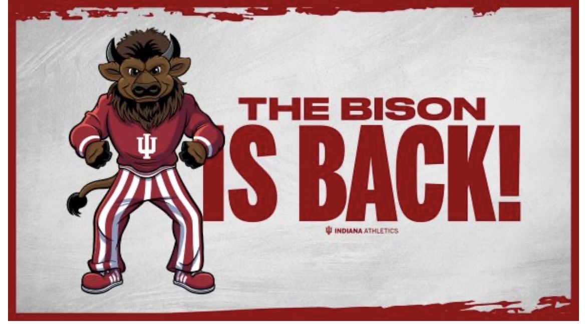 Hoosier The Bison is back, baby. Indiana University’s official mascot - Hoosier The Bison - has returned to the IU-Bloomington campus after a nearly 60-year hiatus. The Bison will make its public debut Aug. 30 when Indiana hosts ODU