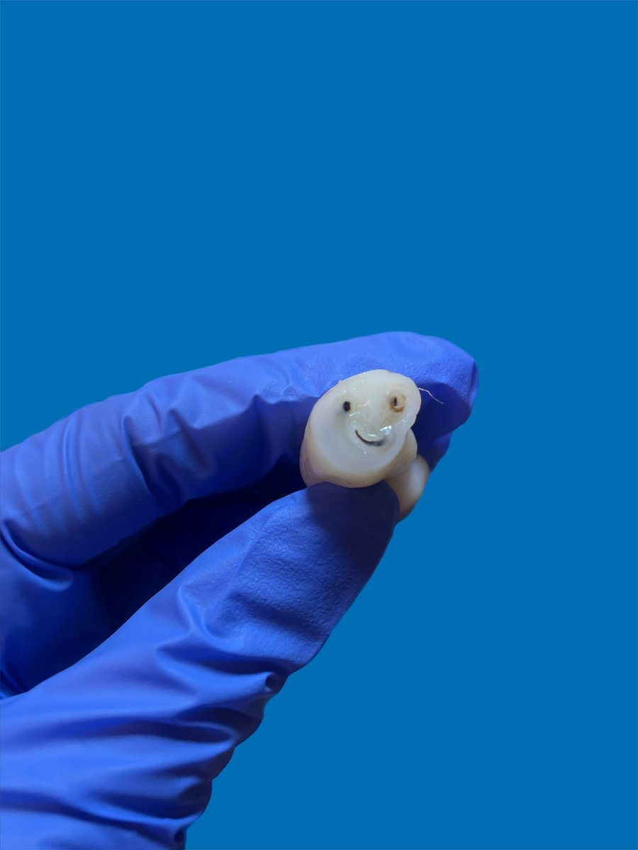 Cassie Porębski, DO MS tweet media