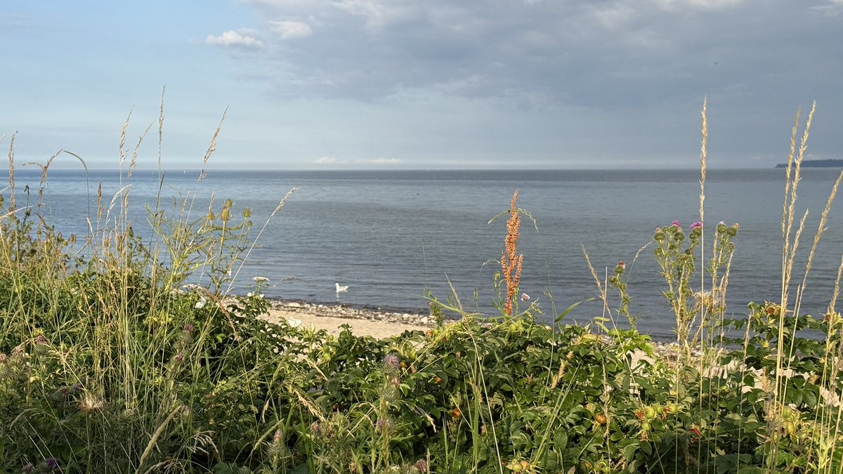 Die Ostsee… oft nur auf fremden Bildern mit Fernweh betrachtet, kann ich sie endlich mal wieder live lieben 🥰