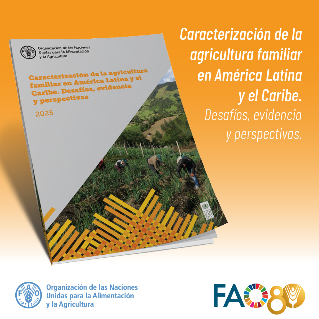 FAO Ecuador (@faoecuador) on Twitter photo 📙¡Ya disponible!
El nuevo documento de <a href="/FAOAmericas/">FAO Américas</a> y <a href="/PNUDLAC/">PNUD América Latina y el Caribe</a> ofrece evidencia y recomendaciones para fortalecer las capacidades institucionales y mejorar la gobernanza de la #AgriculturaFamiliar en la región.
Léelo aquí👉bit.ly/3RMnNno
#UnaVidaMejor 📙¡Ya disponible!
El nuevo documento de <a href="/FAOAmericas/">FAO Américas</a> y <a href="/PNUDLAC/">PNUD América Latina y el Caribe</a> ofrece evidencia y recomendaciones para fortalecer las capacidades institucionales y mejorar la gobernanza de la #AgriculturaFamiliar en la región.
Léelo aquí👉bit.ly/3RMnNno
#UnaVidaMejor