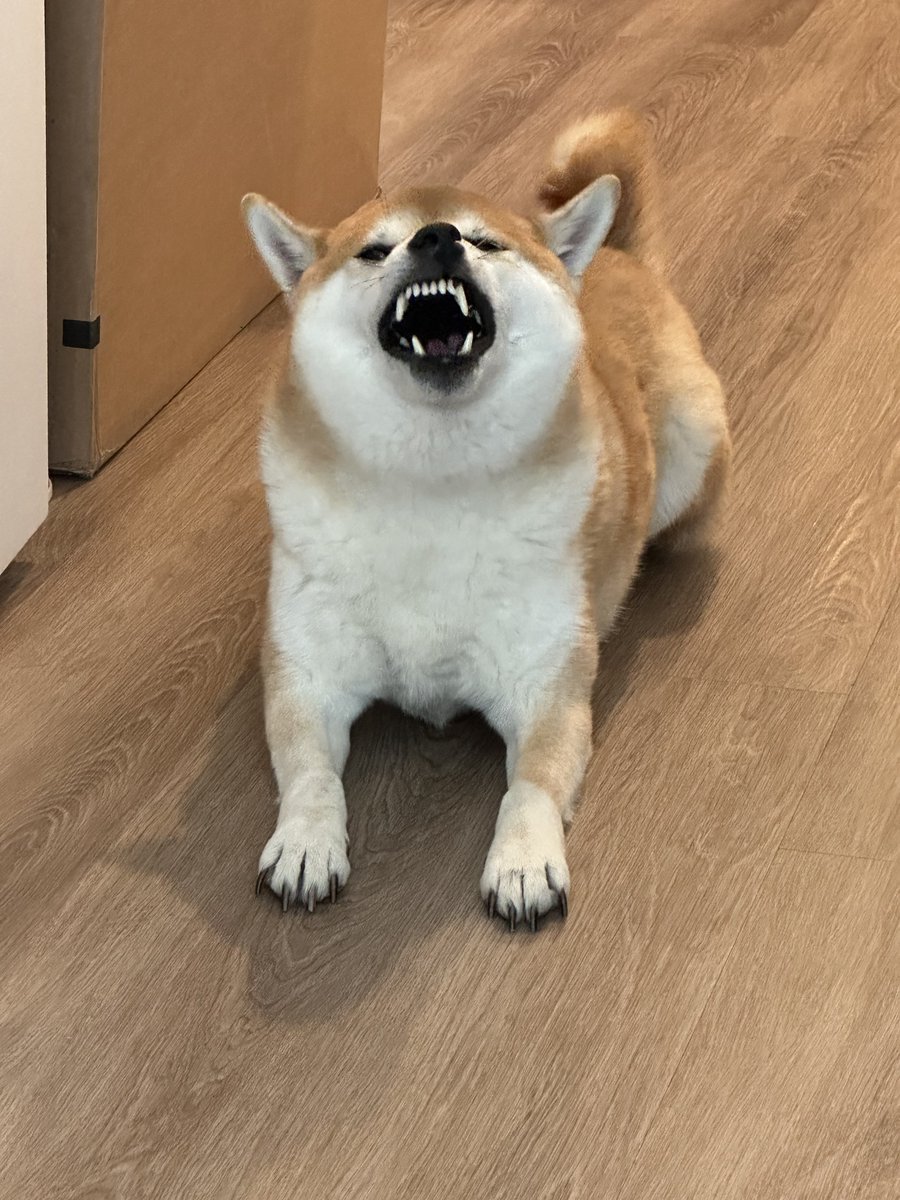 Branche° tweet media