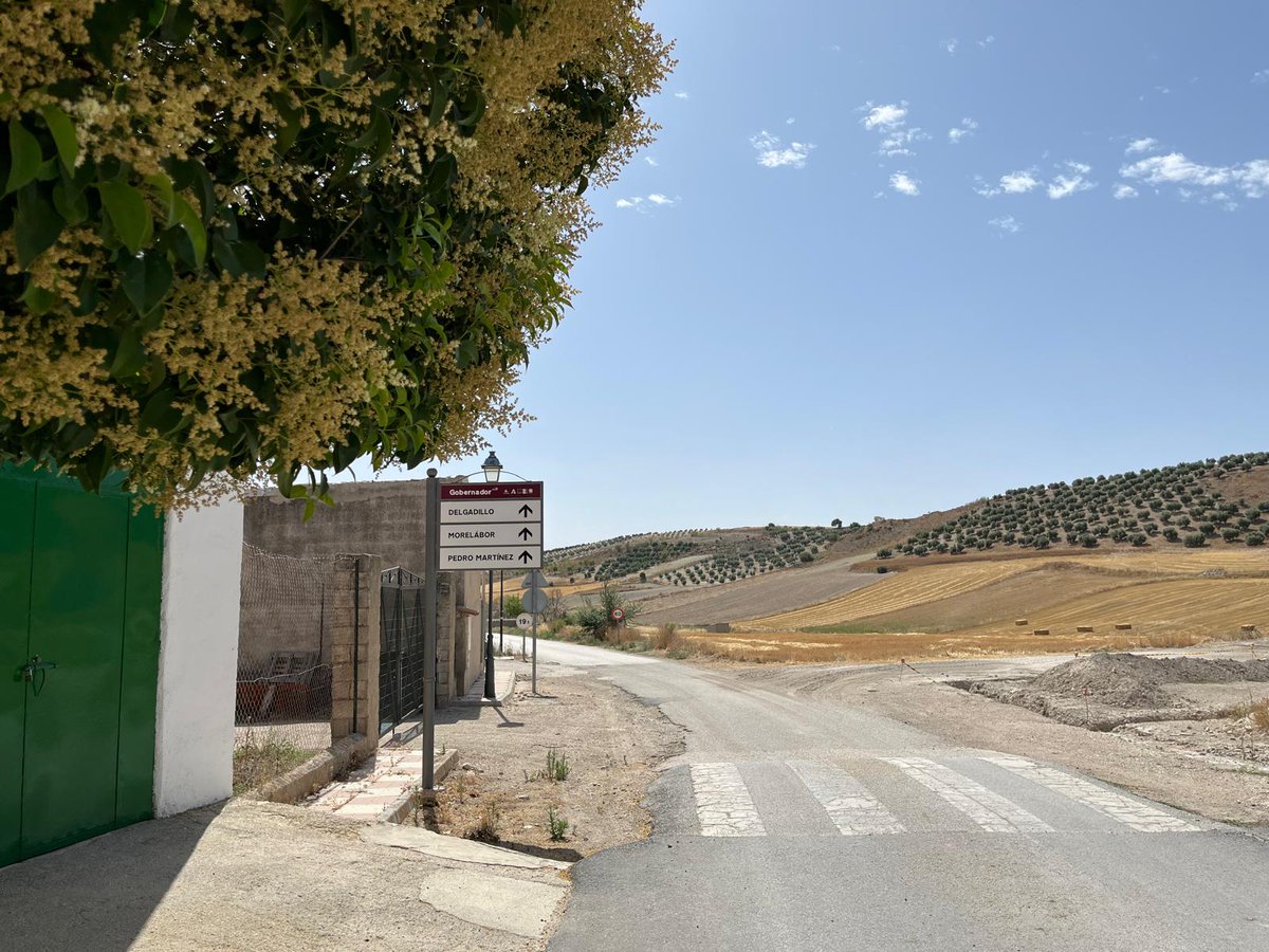 GDR_GUADIX's tweet photo. Estamos muy contentos/as de mostraros la recién estrenada #señalización turística de #Gobernador y su pedanía, Delgadillo.
Este proyecto, promovido por el ayuntamiento de Gobernador ha sido financiado con fondos #LEADER gestionados por el GDR #ComarcadeGuadix. https://t.co/49mKZktO96