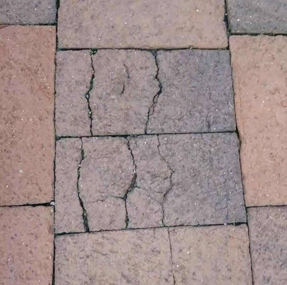 Estúpido y sensual piso…