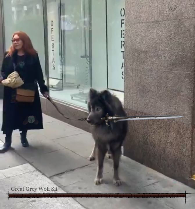 berserksouls tweet media