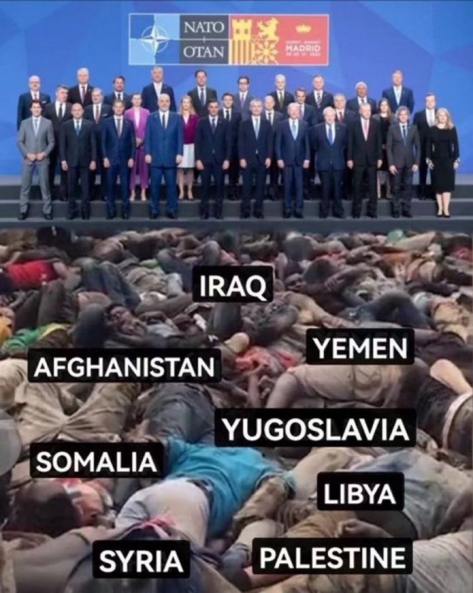 NATO is a terrorist organisation. 

Like if you agree.