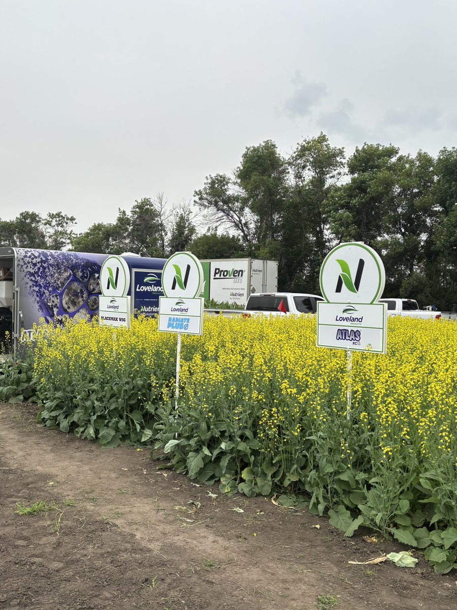 Shelby LaRose tweet media