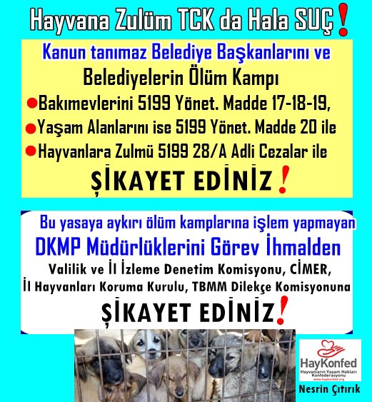 ÖNEMLİ YASAL UYARI: 
📌Belediye Bakımevleri ve Yaşam Alanlarının ölüm zulüm koşulları için Belediye Başkanı dahil tüm belediye sorumlularını ve bu zulme seyirci kalan DKMP leri ŞİKAYET EDİNİZ!

📌 Zulmü RESMİ OLARAK yasa maddelerine göre yazarak ŞİKAYET ETMEZSEK, sadece üzülüp