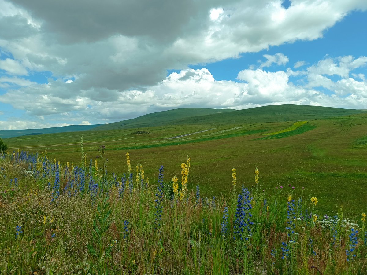 Hasan Temiz (@hesenikov) on Twitter photo 