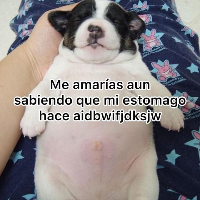bjs_alejo2's tweet photo. https://t.co/jZSDPZPSuQ