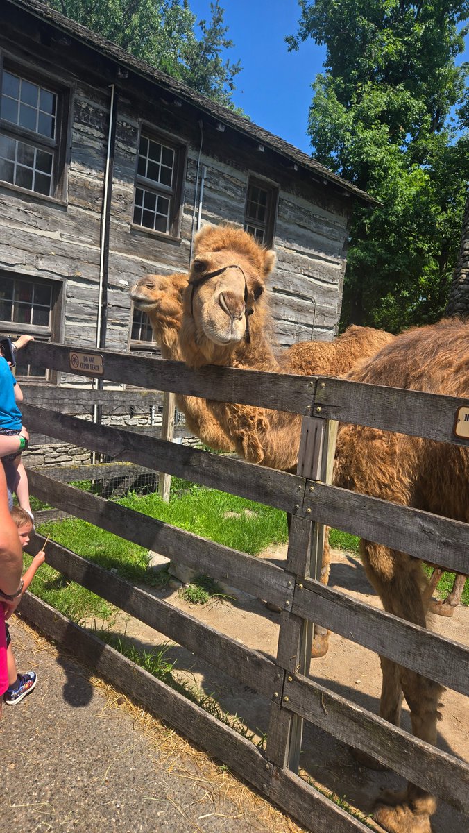 Fat Clouds tweet media