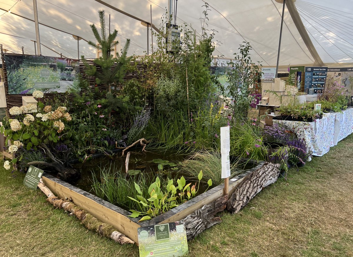 Huge thanks to everyone that came to visit my mini #wildlifegarden over the weekend <a href="/GlobalBirdfair/">Global Birdfair</a>. Met some amazing people &amp; am now planning future projects for wildlife. Thanks also to all the amazing volunteers that make this yearly event the best of its kind ❤️