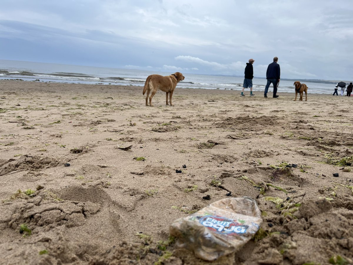 pawsonplastic's tweet image. Leave everywhere cleaner. It couldn’t be simpler. Together we’re a powerful force for good, one that’s out walking every day of the year, rain or shine.

28,000 dogs owners removing 40 million pieces of #litter every year

Litter picked up on #Portobello Beach #edinburgh #dogsofx