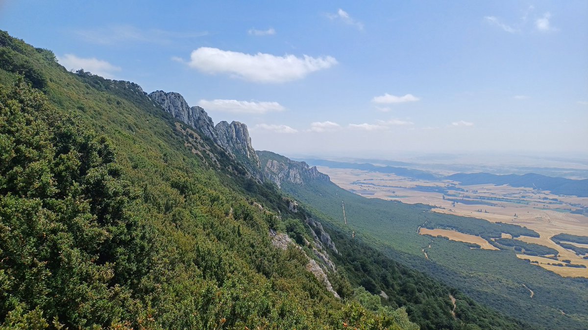 Si llovió por aquí, hoy NO quedaba apenas rastro;  Costalera (NA).