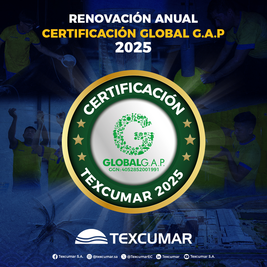TexcumarEC's tweet photo. #Texcumar renueva su certificación #GlobalGAP en todas nuestras bases de producción.

🔬 Cada nauplio que nace en Texcumar es el resultado de procesos #técnicos #responsables y #certificados.
🌱 Seguimos marcando el estándar de calidad en Ecuador y América. https://t.co/ShyrISSCgo