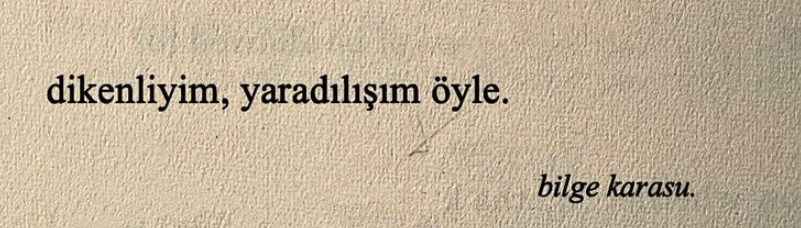incelikli hayta (@bytheaway) on Twitter photo 