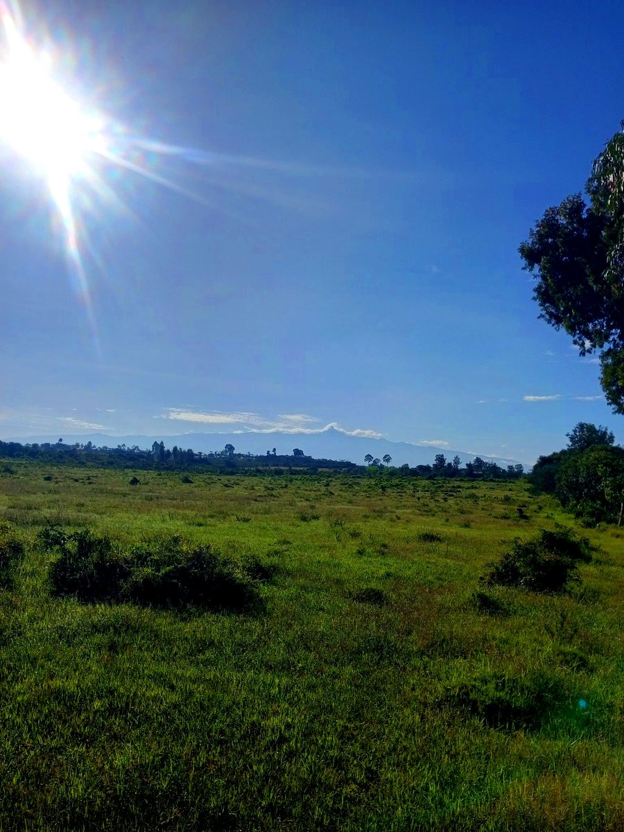 Gachie (@gachiie_) on Twitter photo 