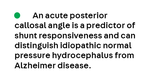 ContinuumAAN's tweet image. Key Point 1 from the article Radiographic Evaluation of Normal Pressure Hydrocephalus by Drs. Petrice Cogswell and Aaron Switzer, from the June Disorders of #CSF Dynamics issue, which is available to subscribers at hubs.la/Q03vQY-J0.
#Neurology #NeuroTwitter #MedEd