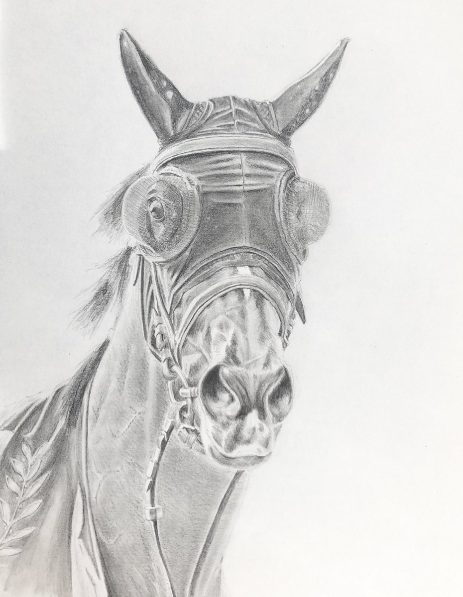 meishosirius's tweet image. #セレクトセール 取引後に重賞勝利した馬達です

#ダノンデサイル
#ジャスティンパレス
#モズメイメイ
#メイケイエール