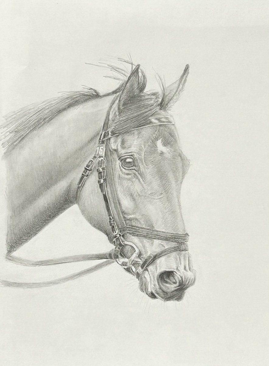 meishosirius's tweet image. #セレクトセール 取引後に重賞勝利した馬達です

#ダノンデサイル
#ジャスティンパレス
#モズメイメイ
#メイケイエール