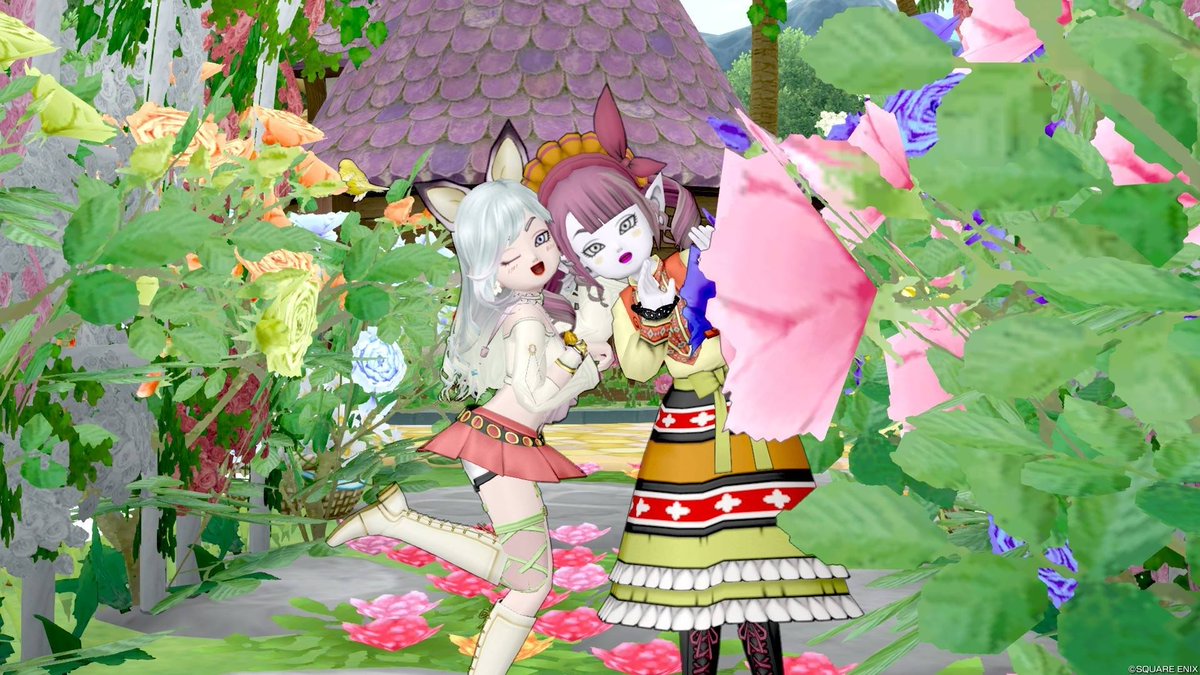 udonko2525 tweet picture